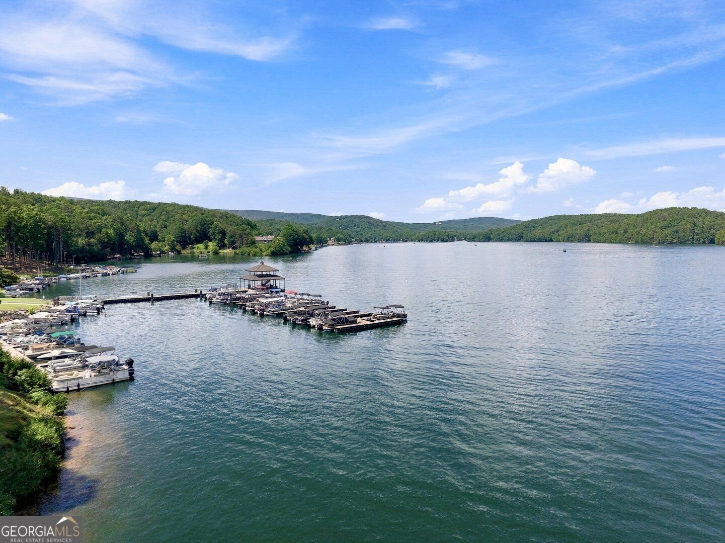 110 Sunset Peak Court Waleska - Photo 68