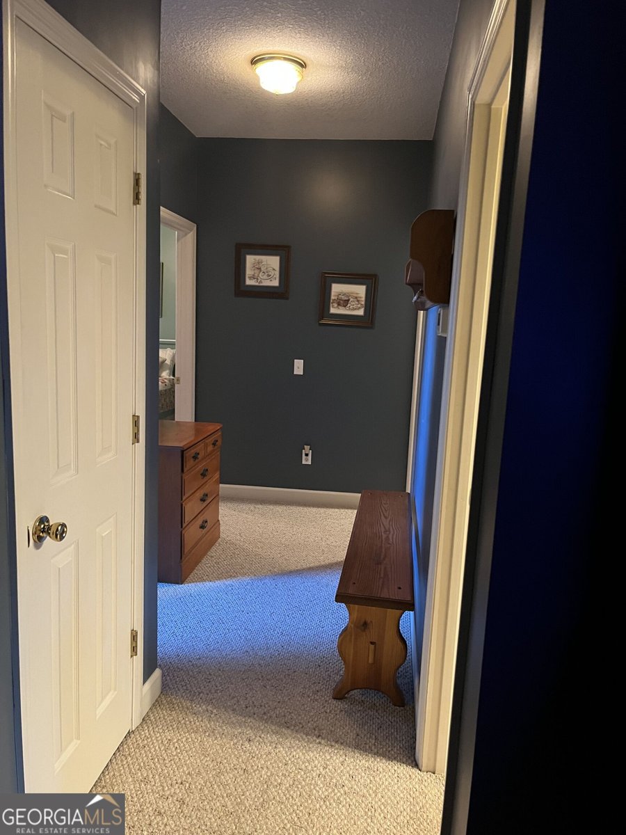 1207 Brooklet South Drive Brooklet - Photo 44