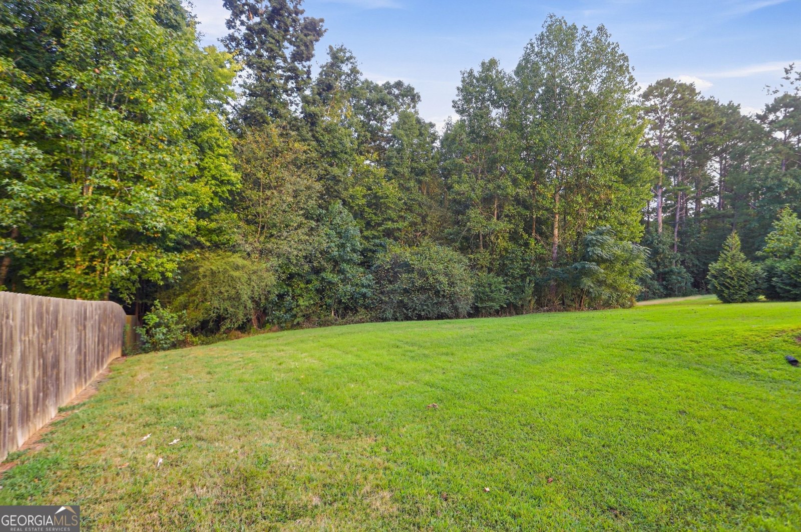 318 Hamilton Drive Conyers - Photo 36