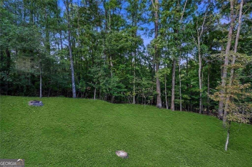 707 Copper Trace Way Woodstock - Photo 36