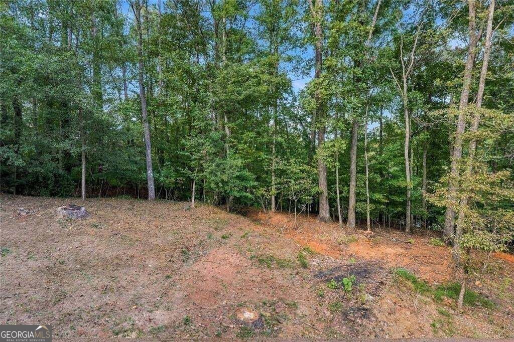 707 Copper Trace Way Woodstock - Photo 37
