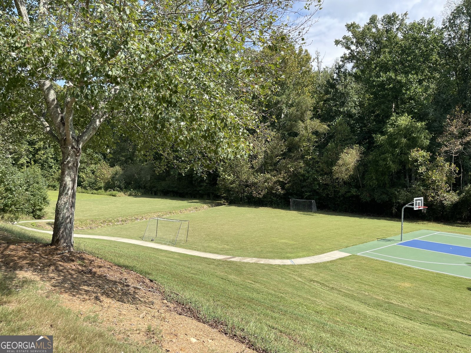 505 Appalachian Place Canton - Photo 46