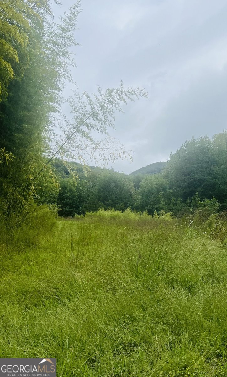 14694 Hwy 515 Ellijay - Photo 6