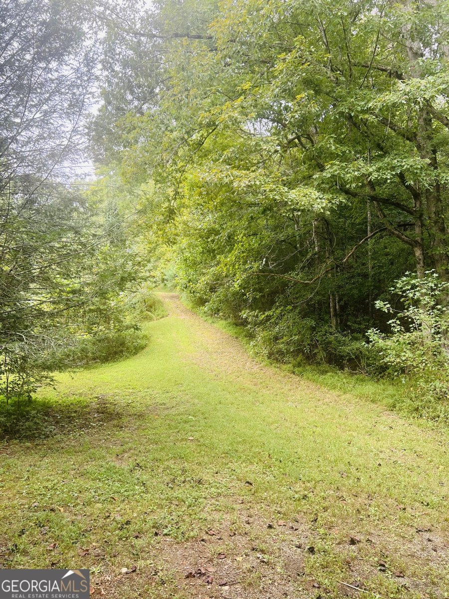 14694 Hwy 515 Ellijay - Photo 7