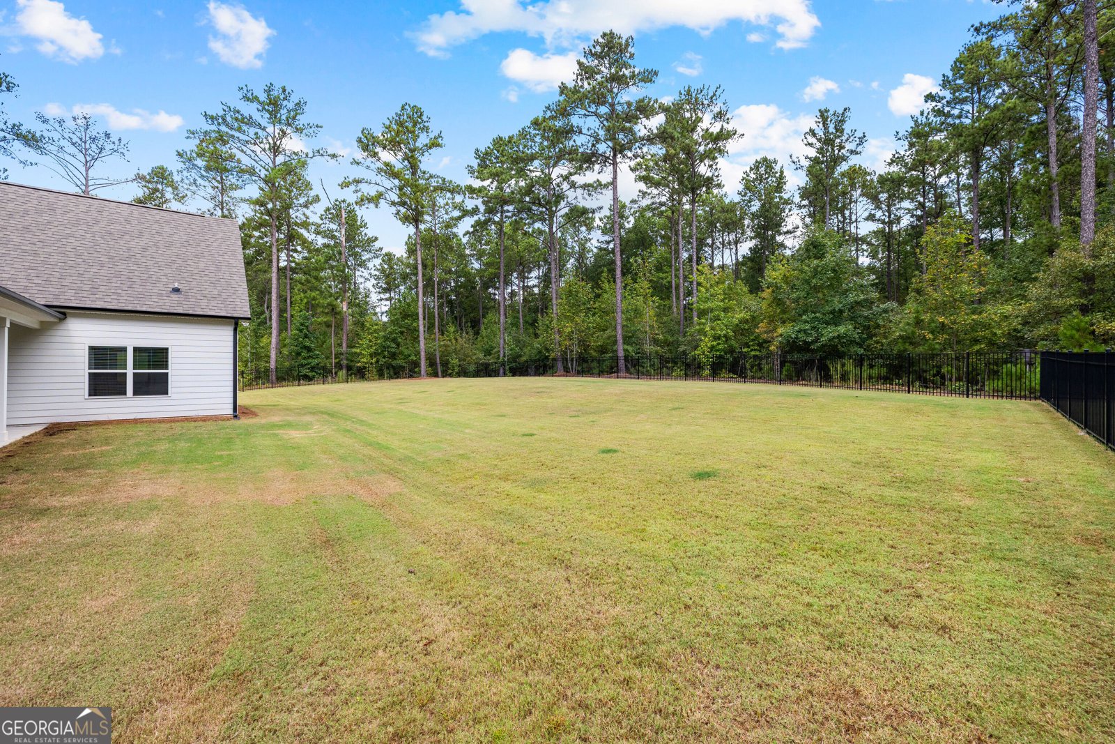 249 Atlantica Drive Newnan - Photo 53