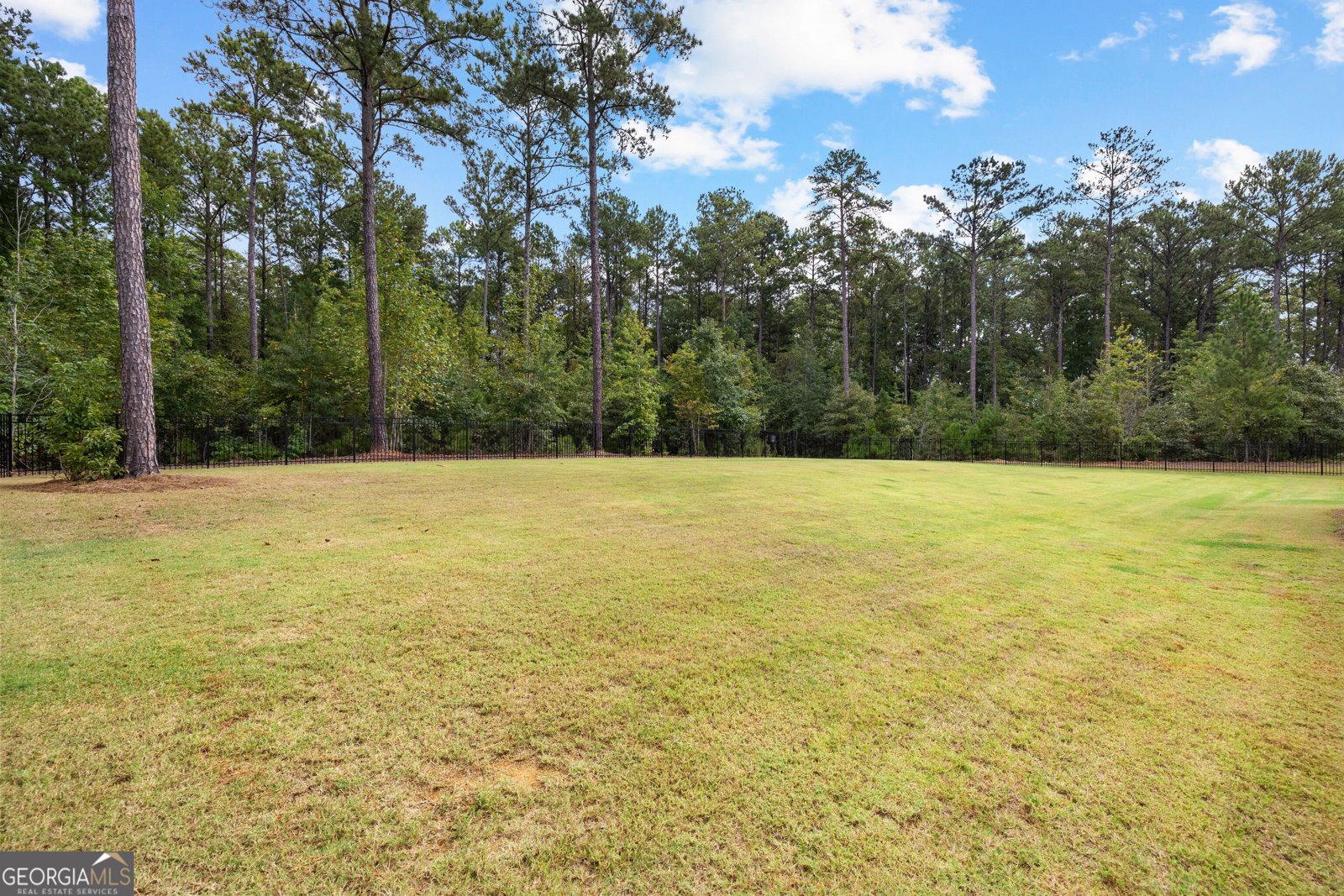 249 Atlantica Drive Newnan - Photo 55