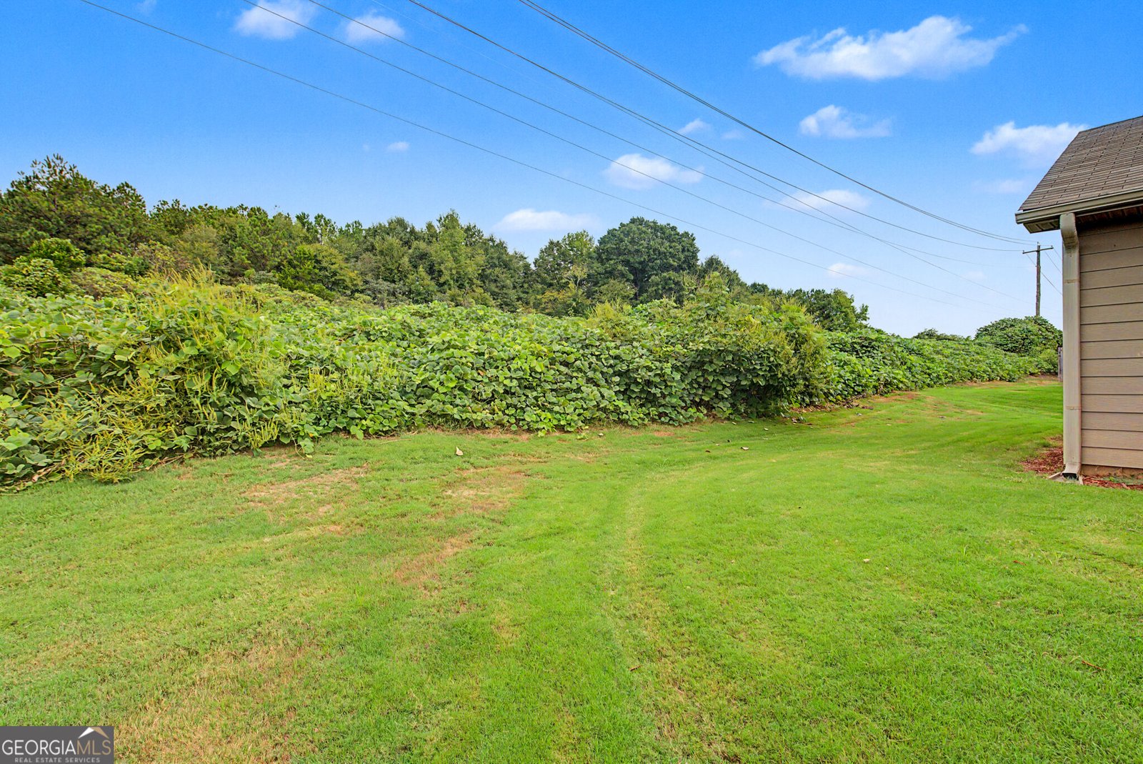 123 Lexington Avenue Griffin - Photo 30