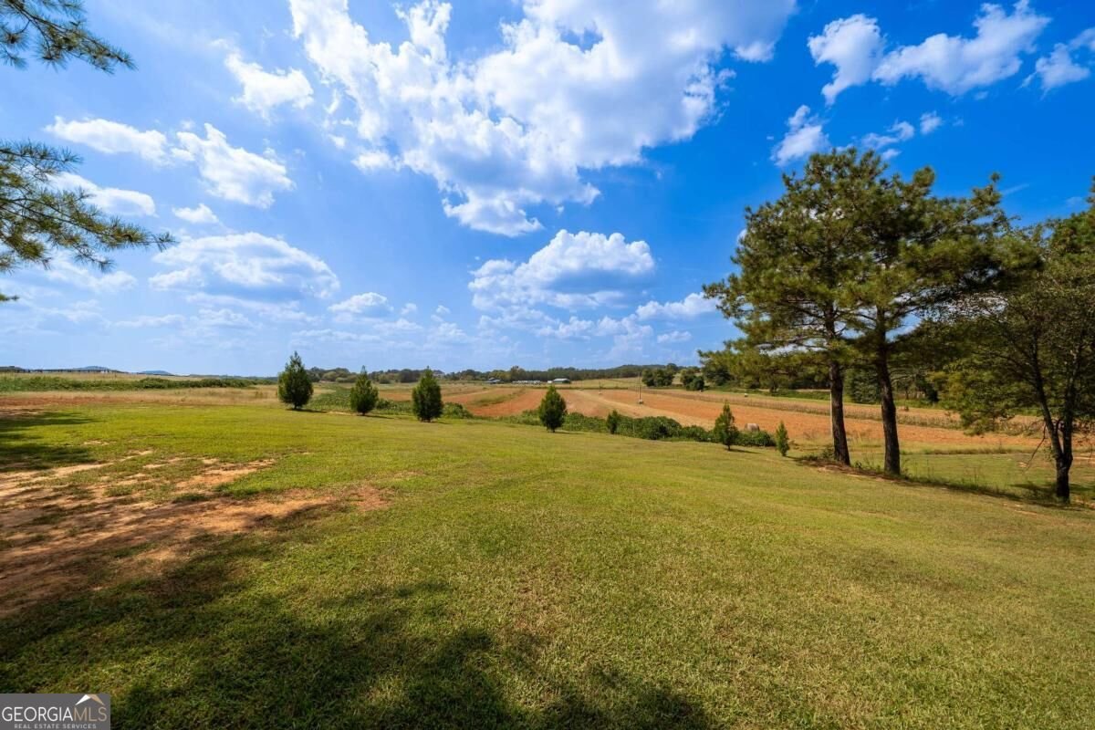 1602 Old Alabama Road Taylorsville - Photo 63