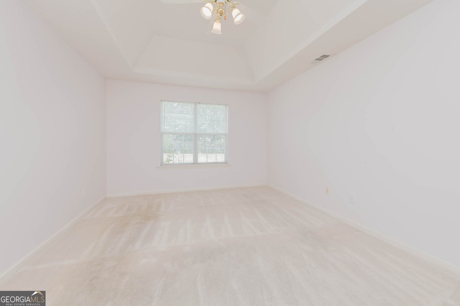 133 Darin Drive Byron - Photo 11