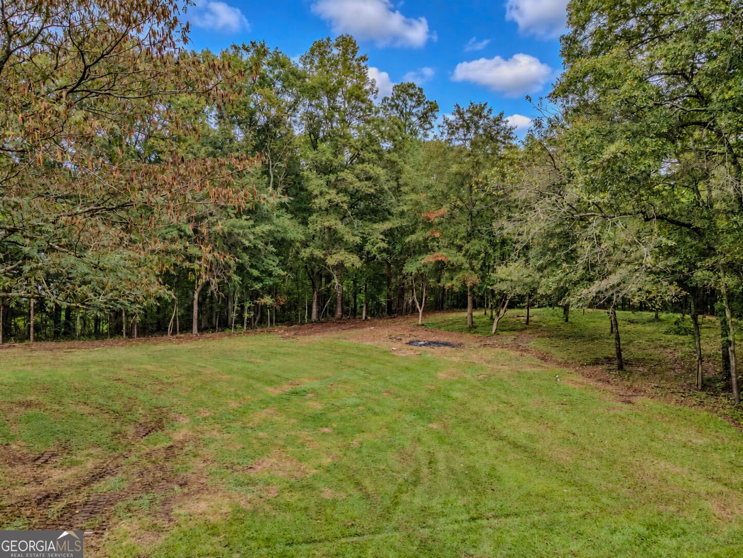3661 Chandler Haulk Road Loganville - Photo 44