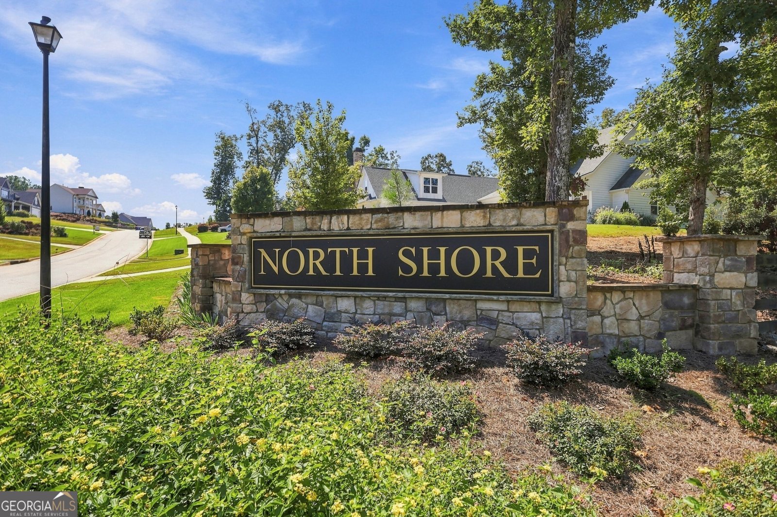 248 Cove Drive Newnan - Photo 71