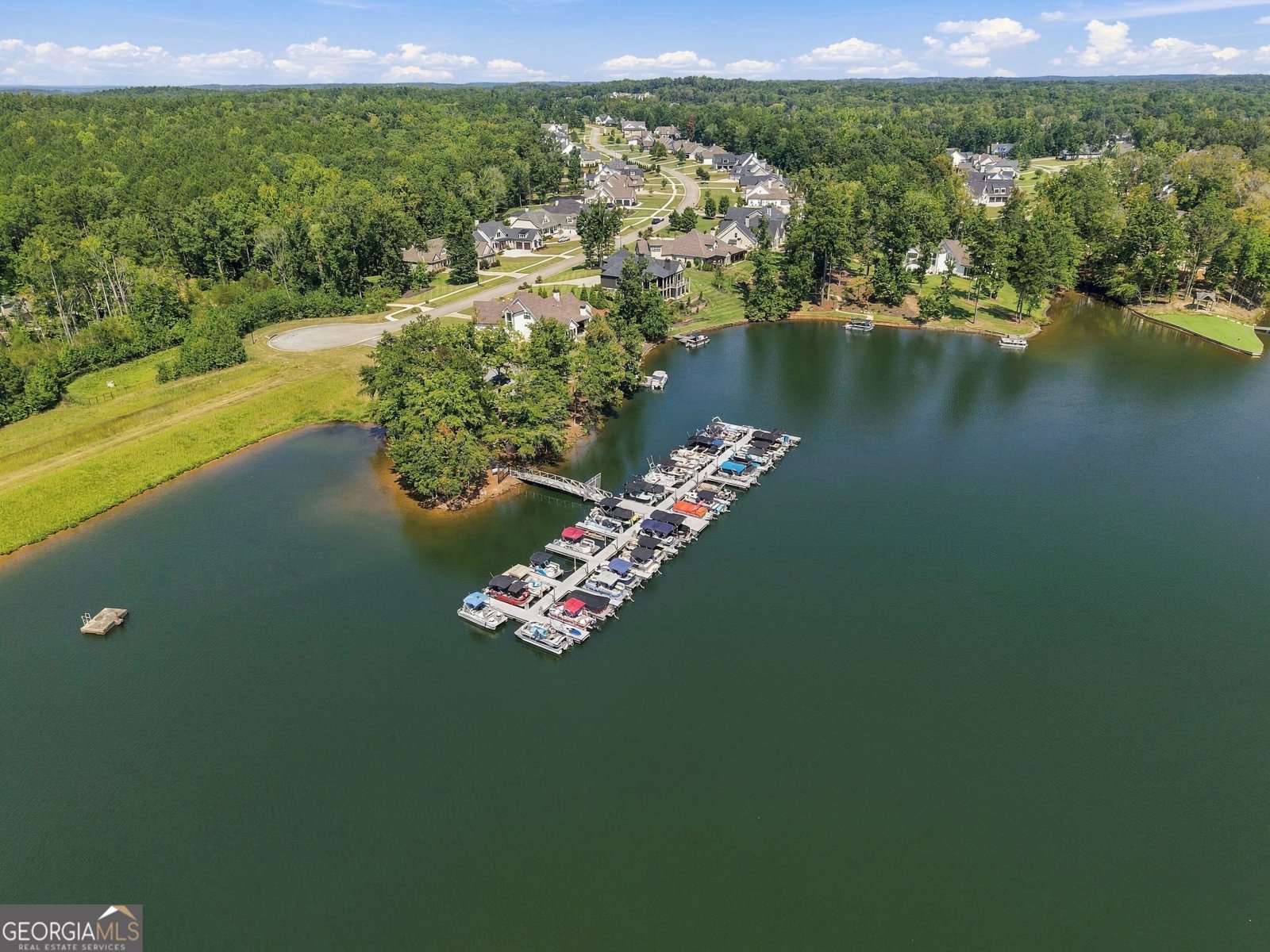 248 Cove Drive Newnan - Photo 72