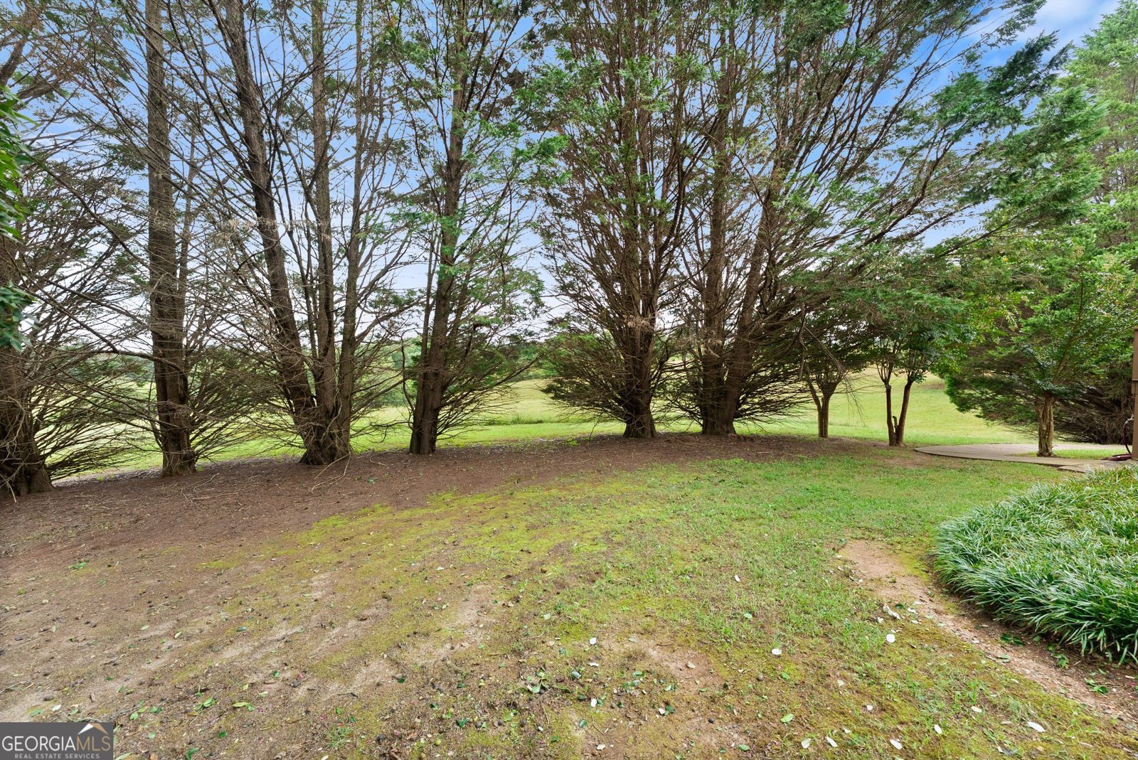 405 Double Bridge Road Demorest - Photo 38