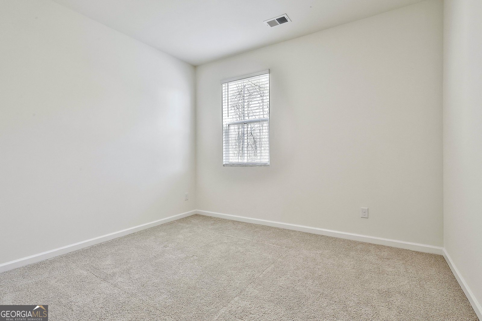166 Woodbrook Trail Newnan - Photo 28