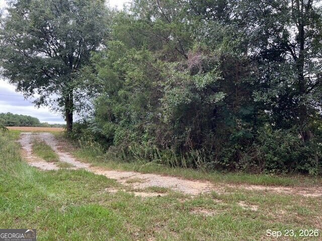 869 ANKERICH Road Bowersville - Photo 15