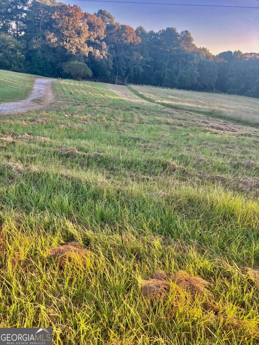 9090 Wilkerson Mill Road Palmetto - Photo 16