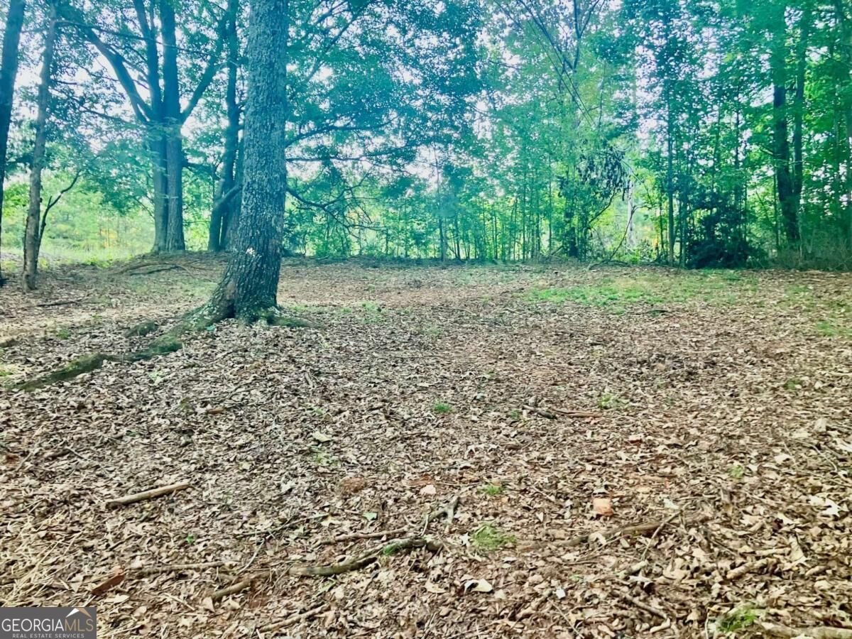 9090 Wilkerson Mill Road Palmetto - Photo 21