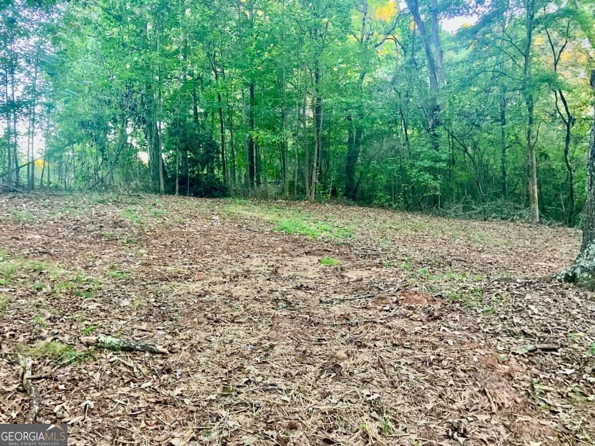 9090 Wilkerson Mill Road Palmetto - Photo 22