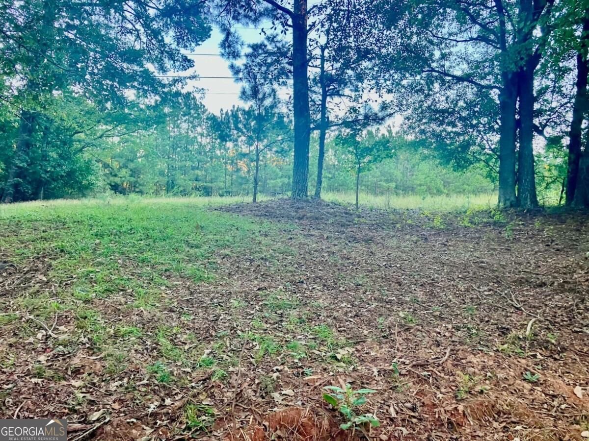 9090 Wilkerson Mill Road Palmetto - Photo 23