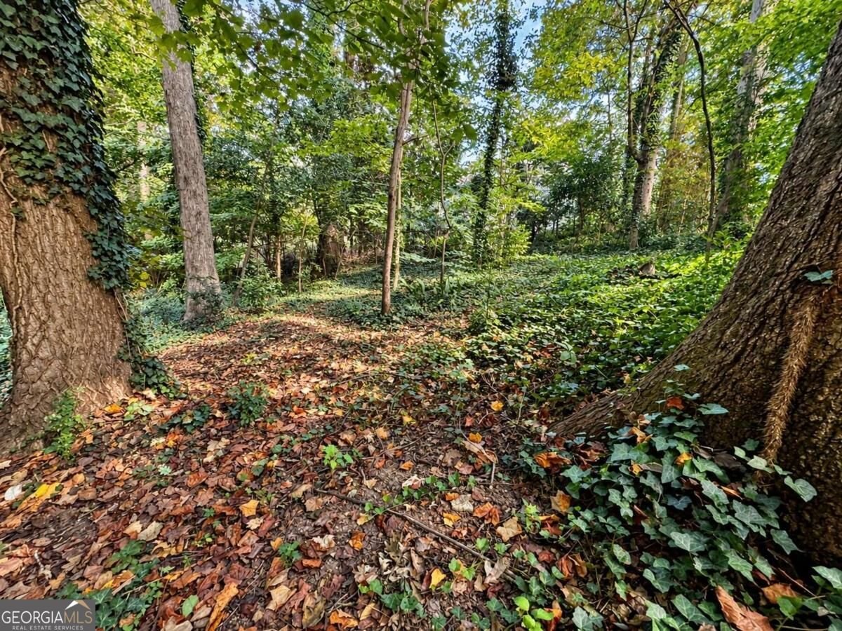 60 Ivy Parkway Atlanta - Photo 29
