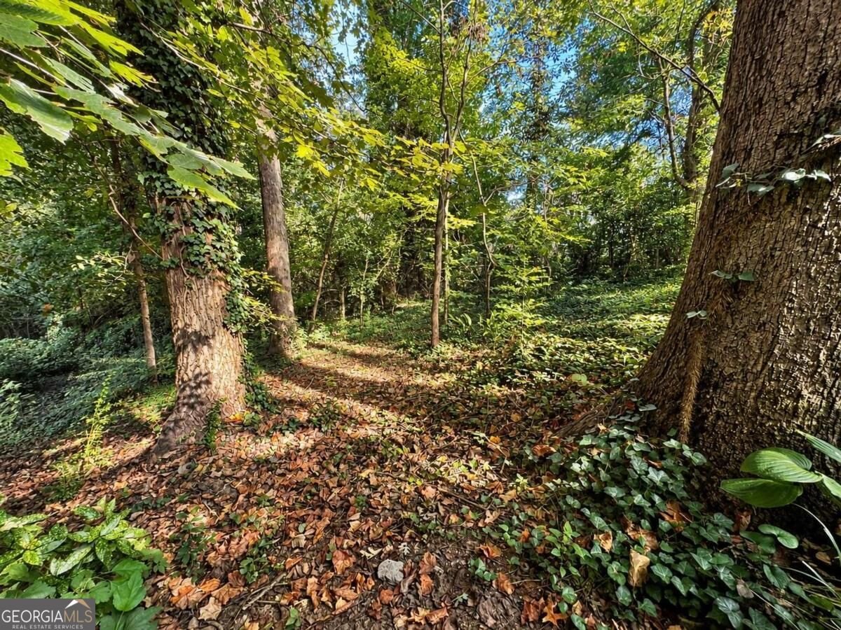 60 Ivy Parkway Atlanta - Photo 30