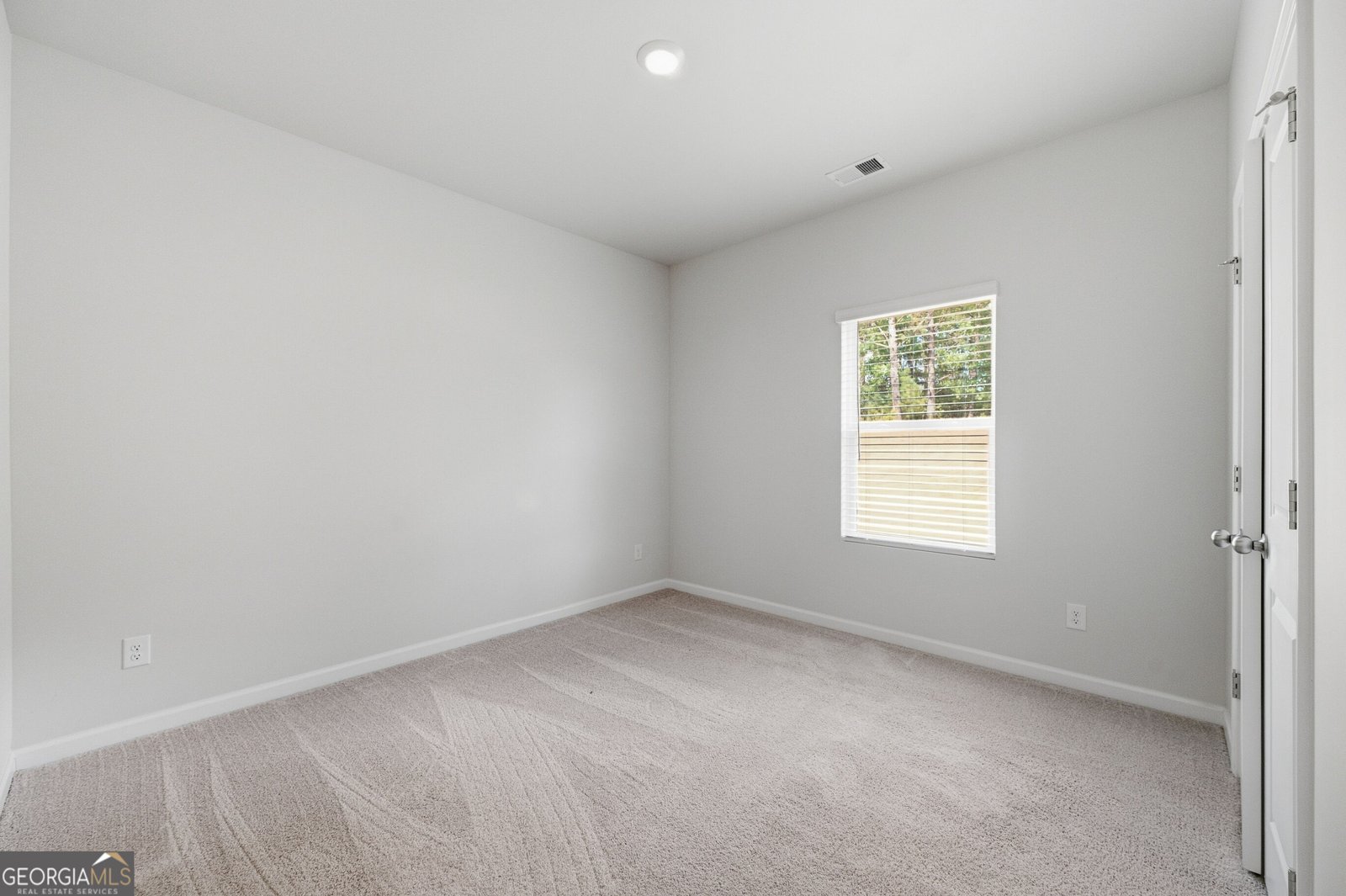 136 Petunia Court Mcdonough - Photo 14