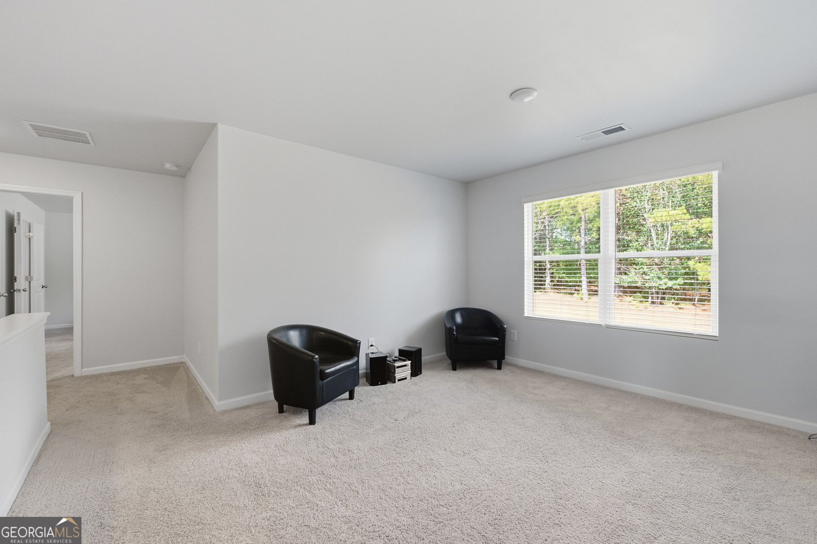 136 Petunia Court Mcdonough - Photo 22