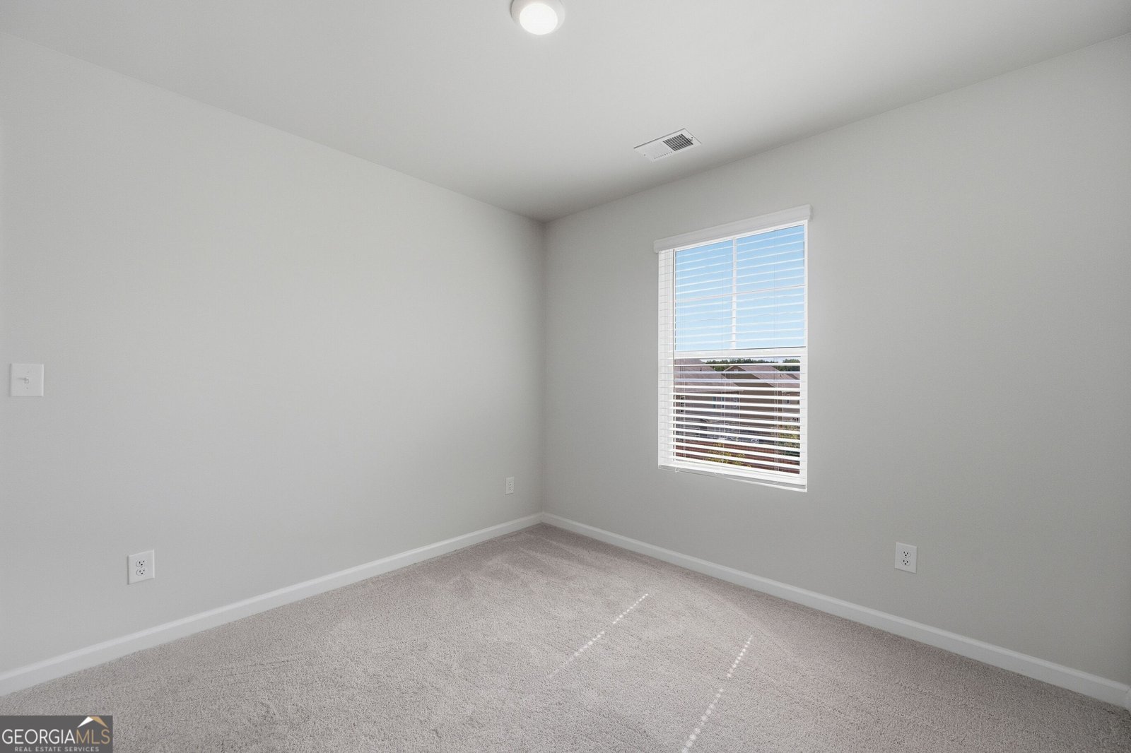 136 Petunia Court Mcdonough - Photo 29