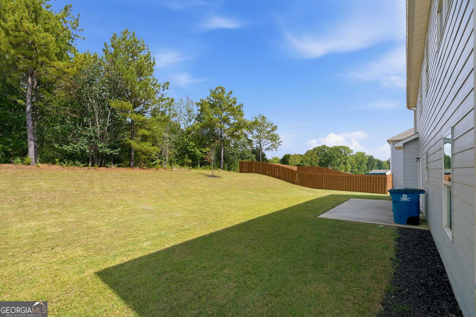 136 Petunia Court Mcdonough - Photo 31