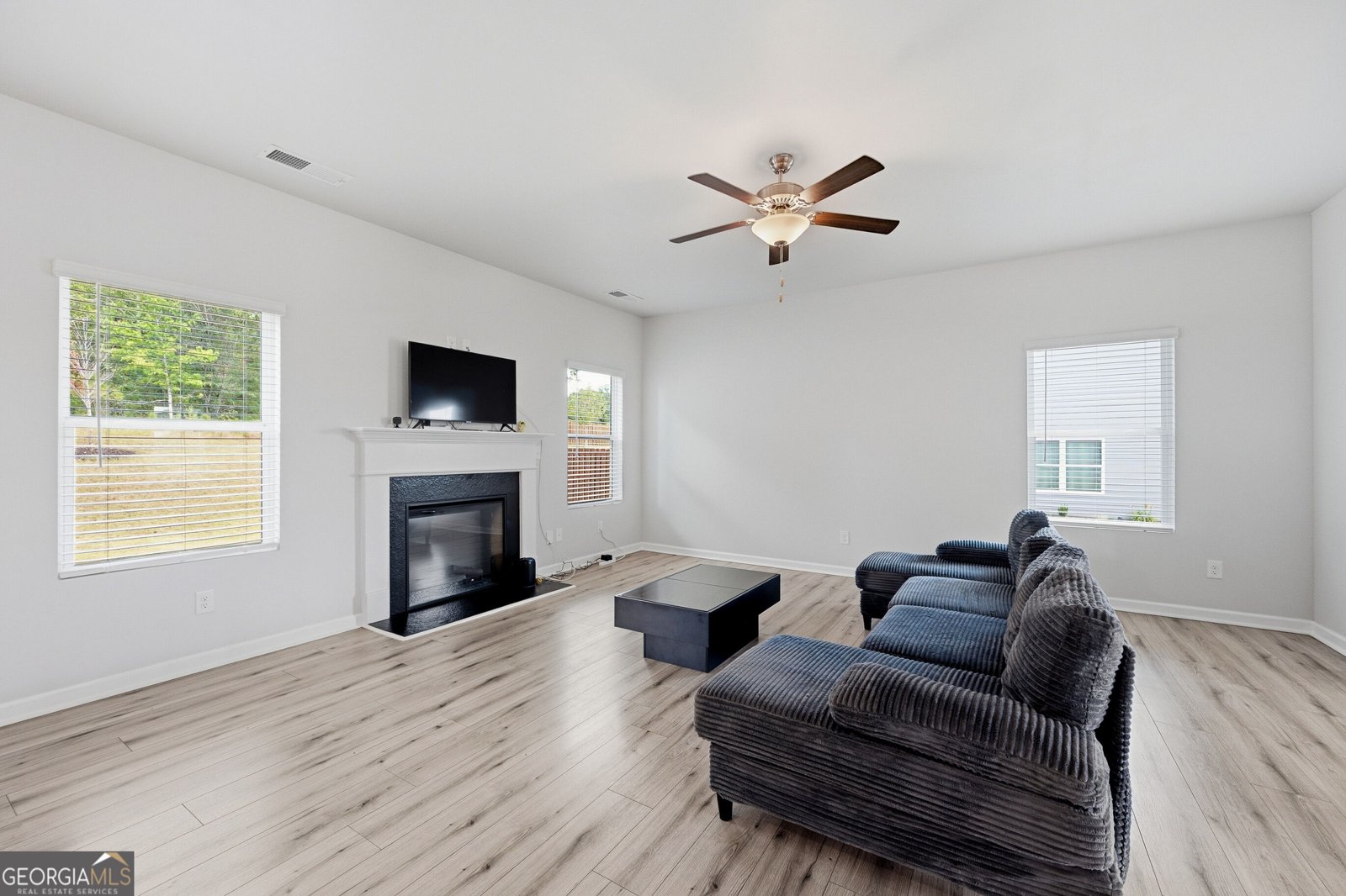 136 Petunia Court Mcdonough - Photo 8