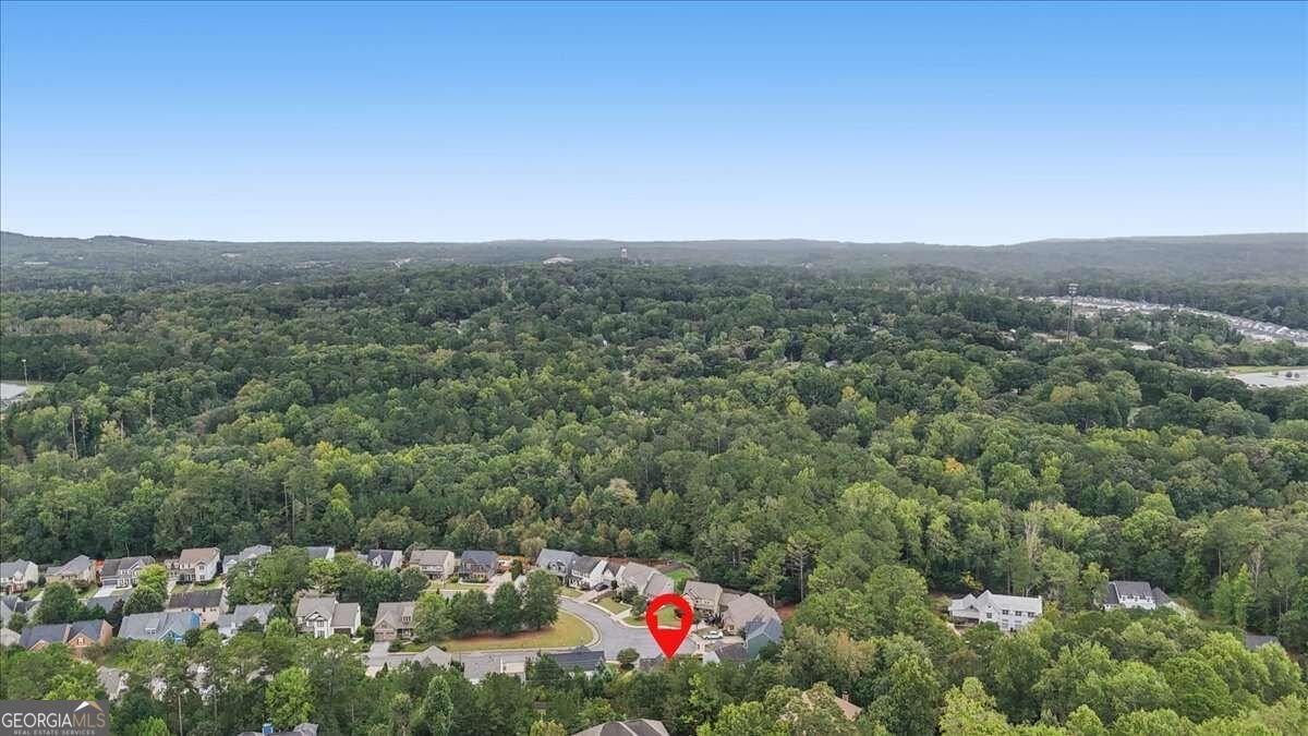 232 Haleys Court Woodstock - Photo 54