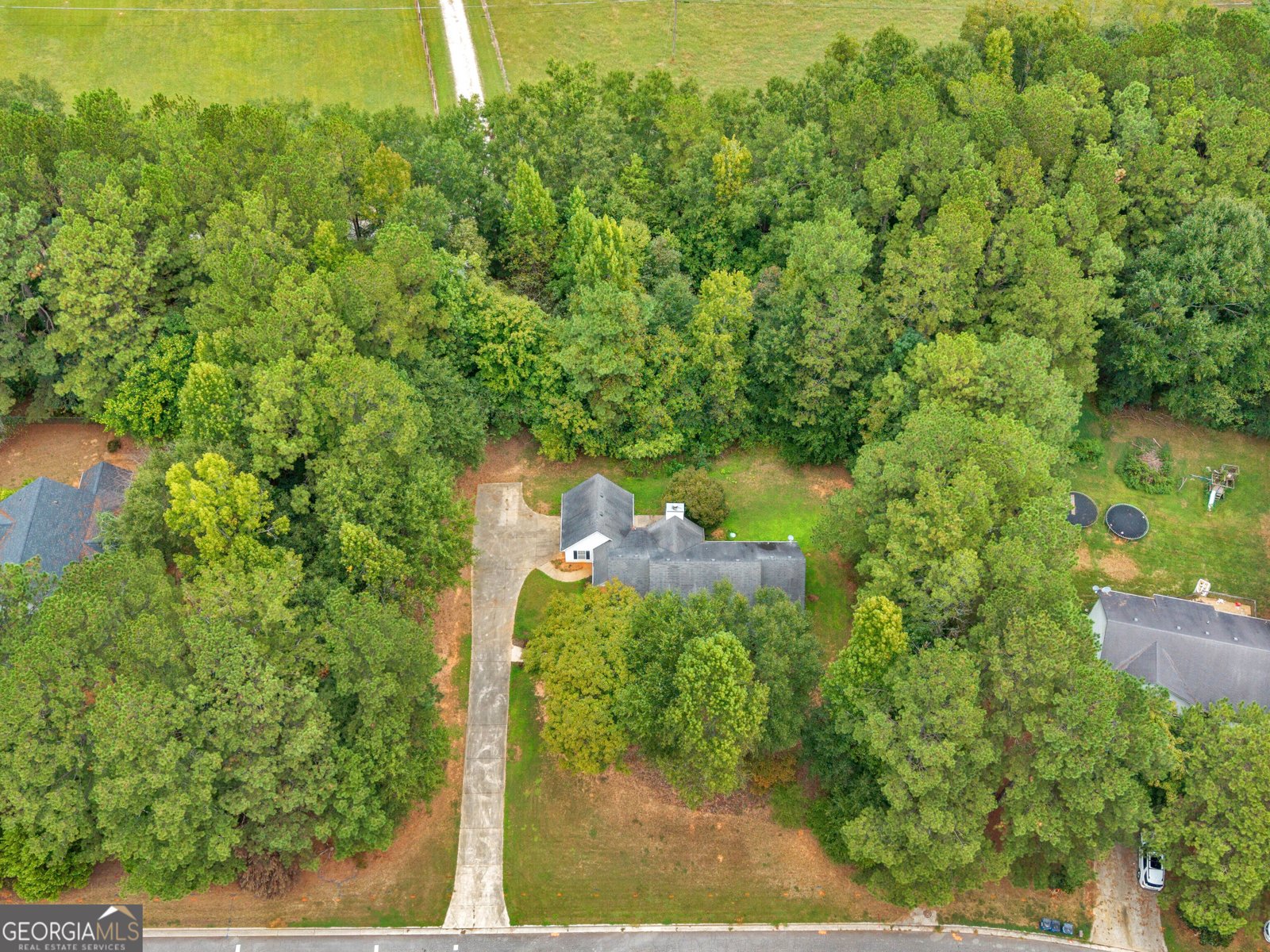 207 Cobblestone Lane McDonough - Photo 45