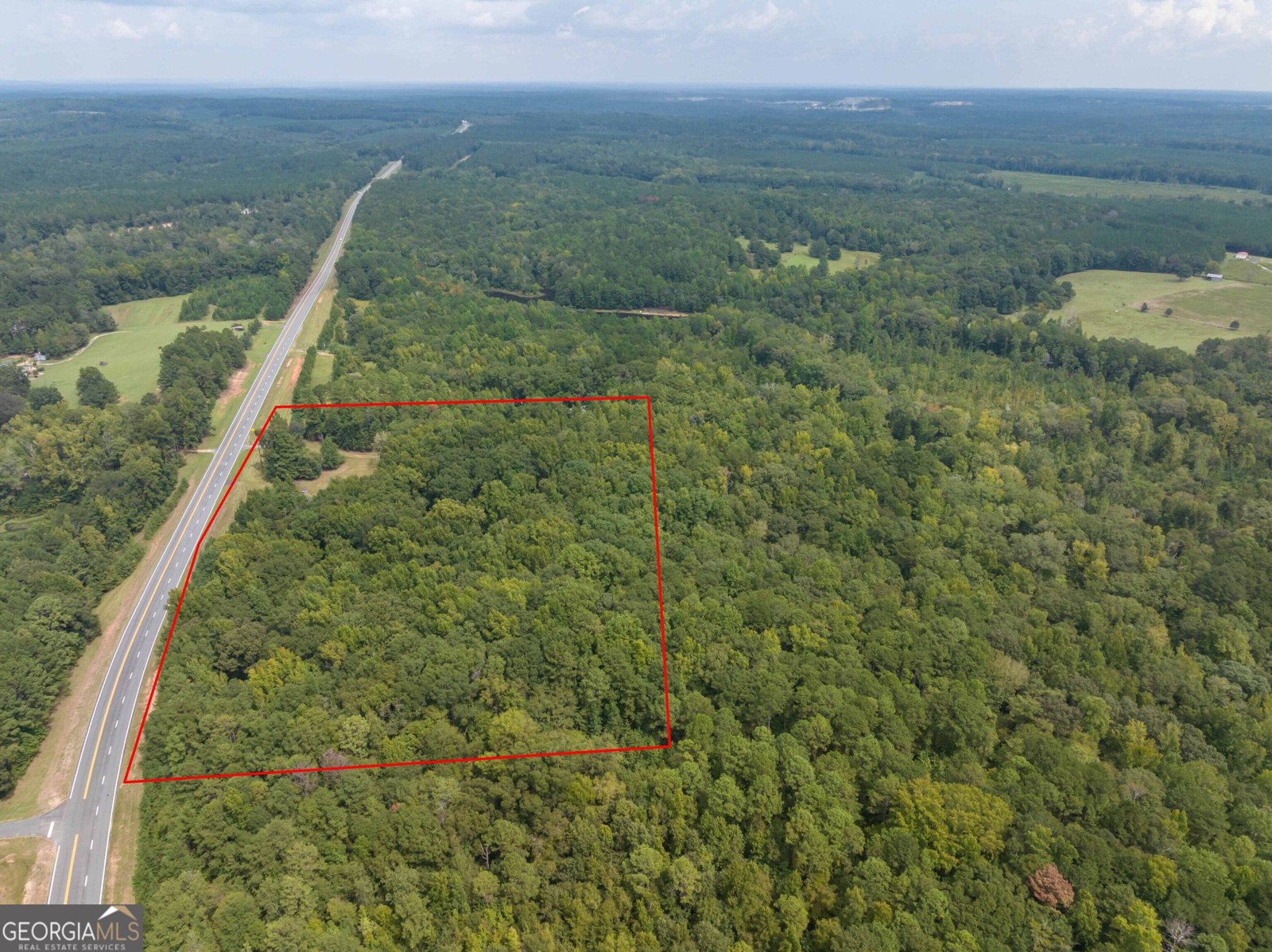 5301 Geneva Highway Talbotton - Photo 29