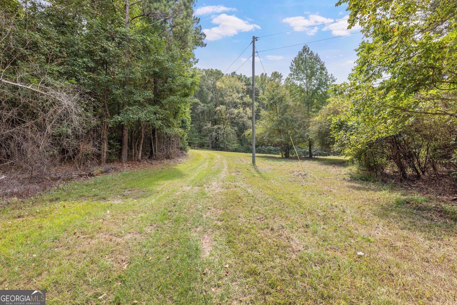 5301 Geneva Highway Talbotton - Photo 30