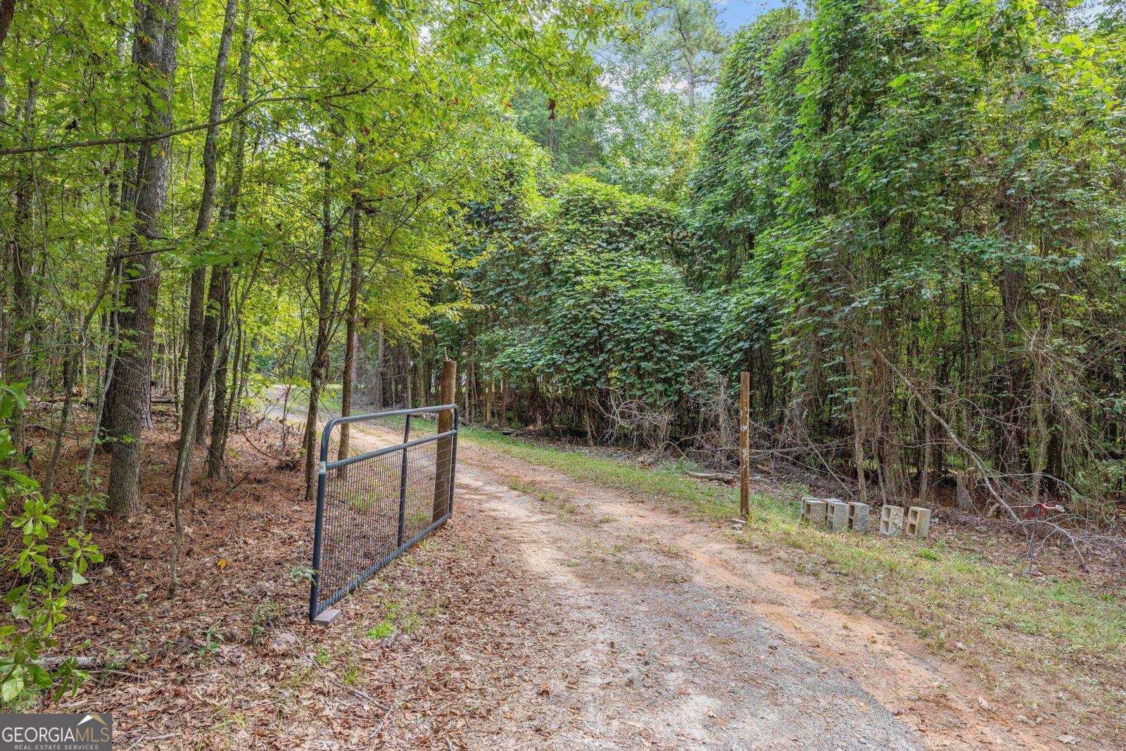 5301 Geneva Highway Talbotton - Photo 32