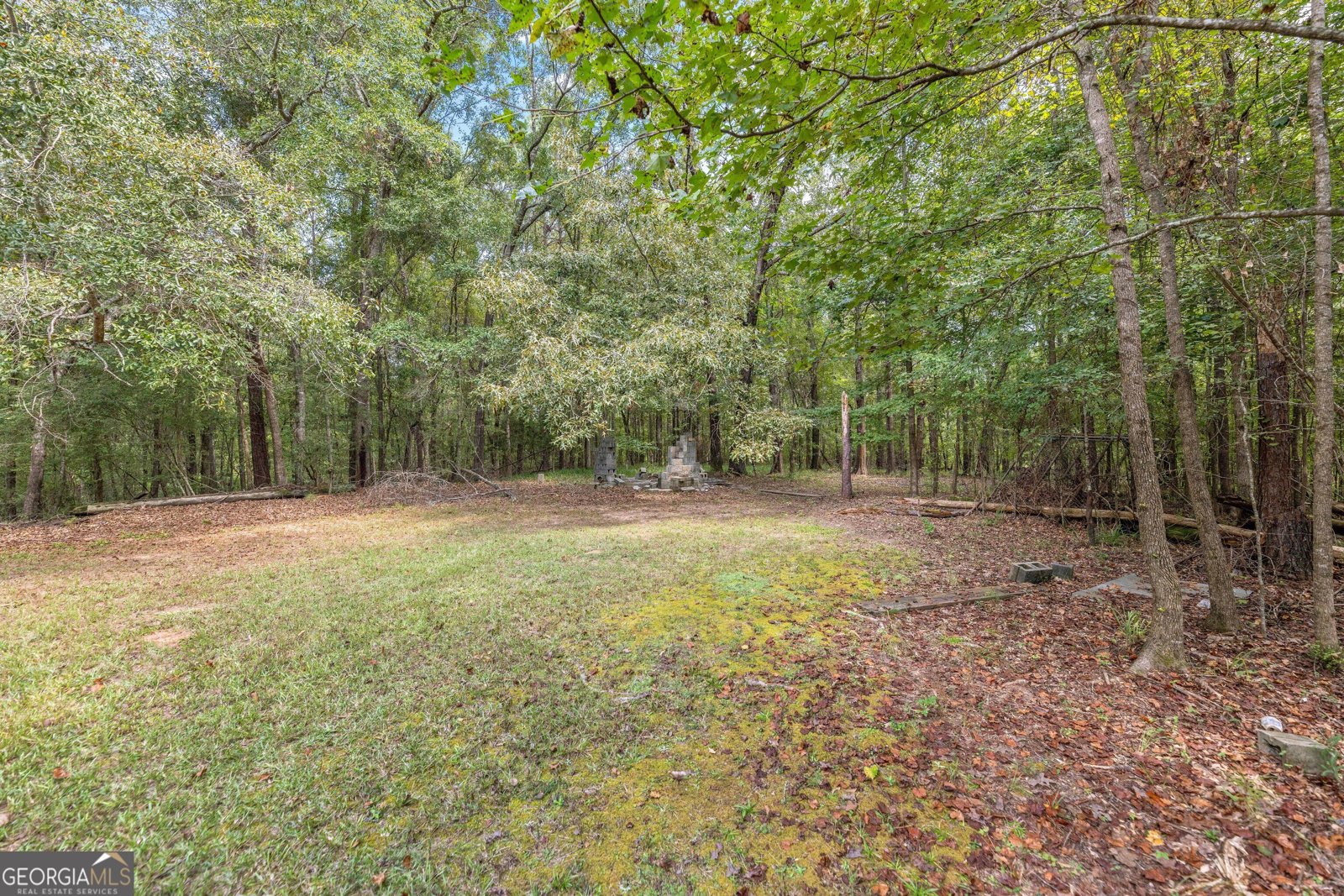 5301 Geneva Highway Talbotton - Photo 35