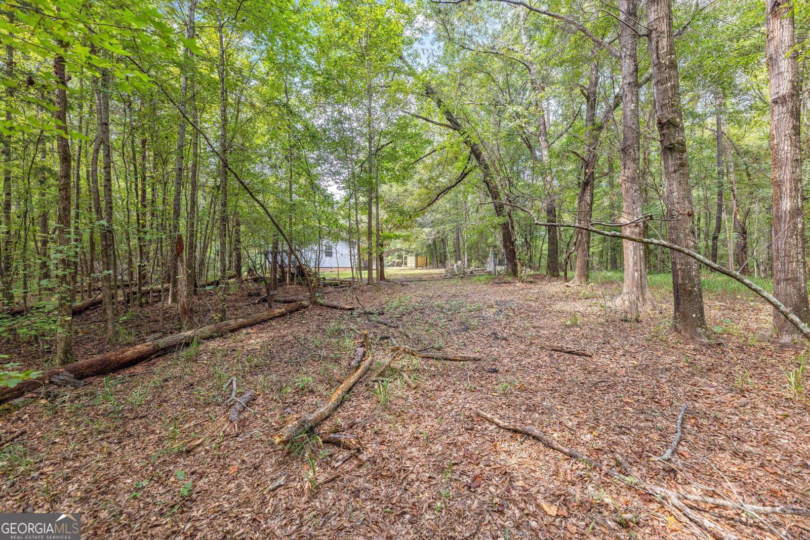 5301 Geneva Highway Talbotton - Photo 37