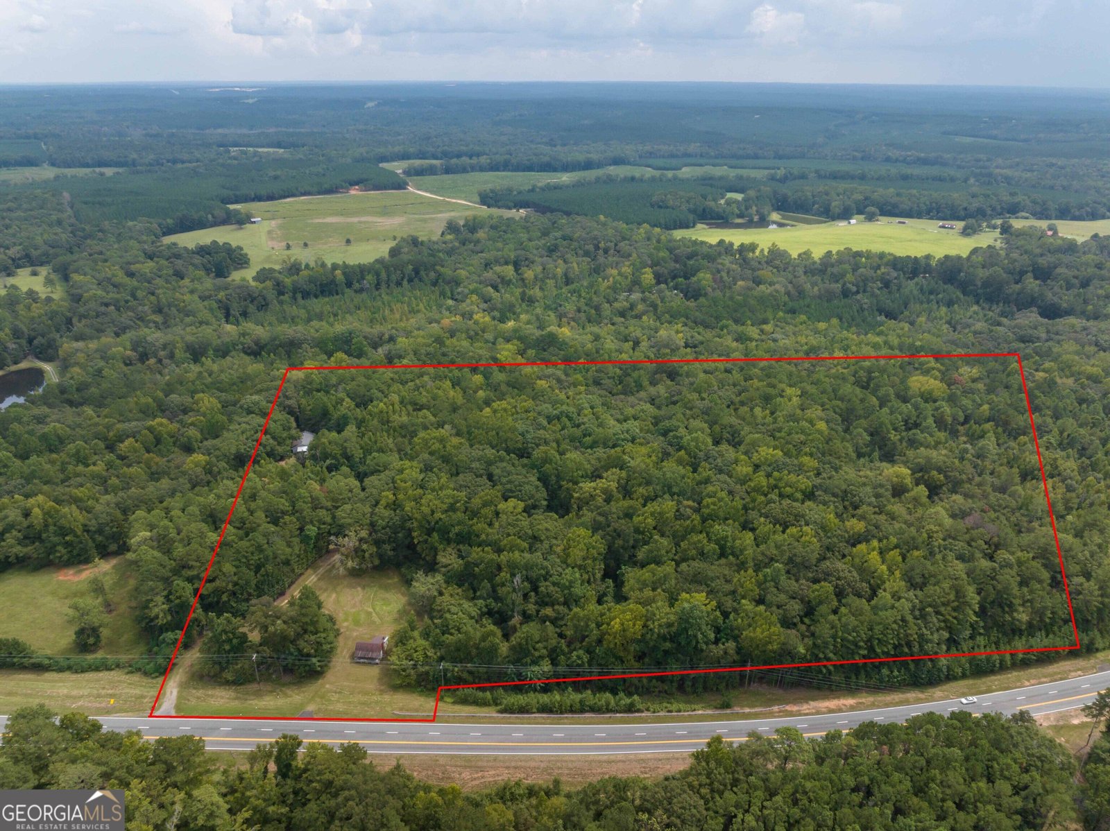 5301 Geneva Highway Talbotton - Photo 39