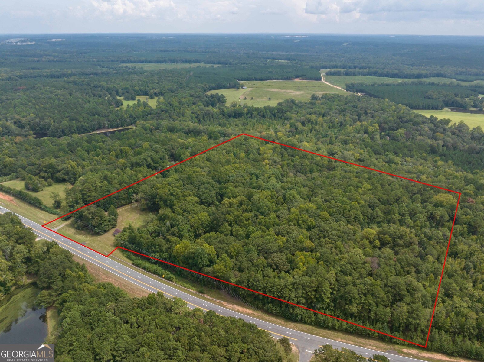 5301 Geneva Highway Talbotton - Photo 40