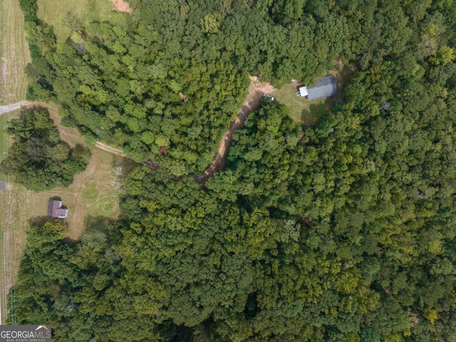 5301 Geneva Highway Talbotton - Photo 41