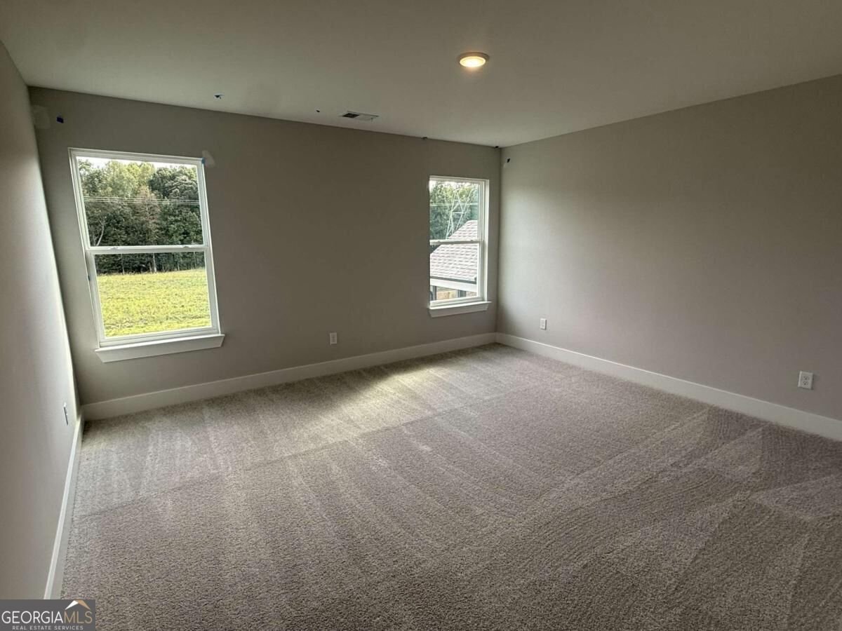 333 Conifer Lane Ball Ground - Photo 17