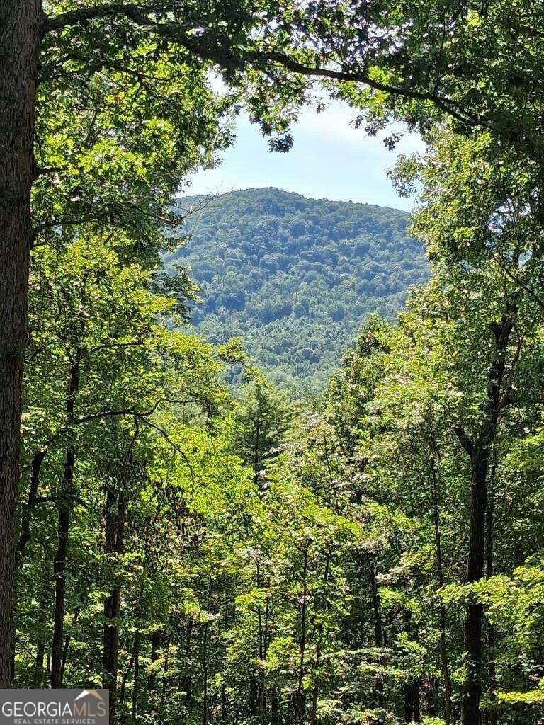 150 Trail Tree Drive Blairsville - Photo 41
