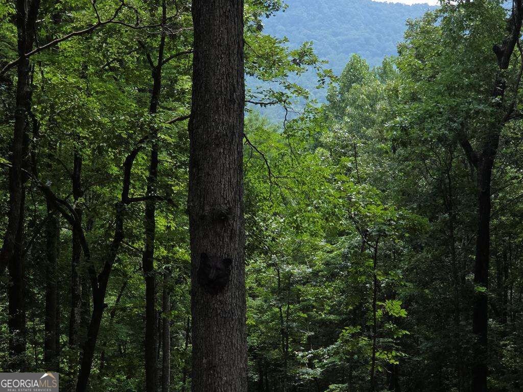 150 Trail Tree Drive Blairsville - Photo 42