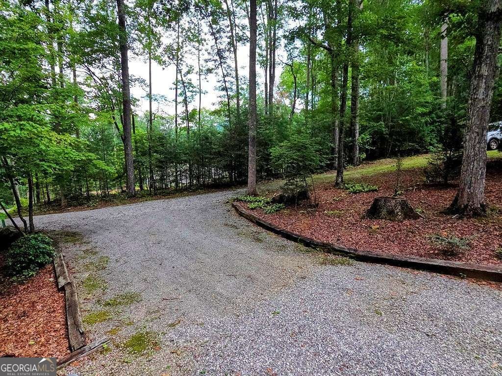 150 Trail Tree Drive Blairsville - Photo 56