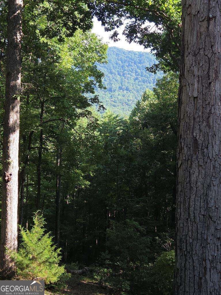 150 Trail Tree Drive Blairsville - Photo 57
