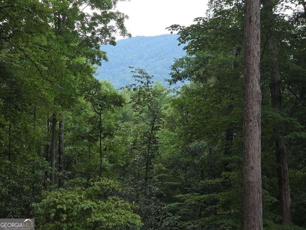 150 Trail Tree Drive Blairsville - Photo 58