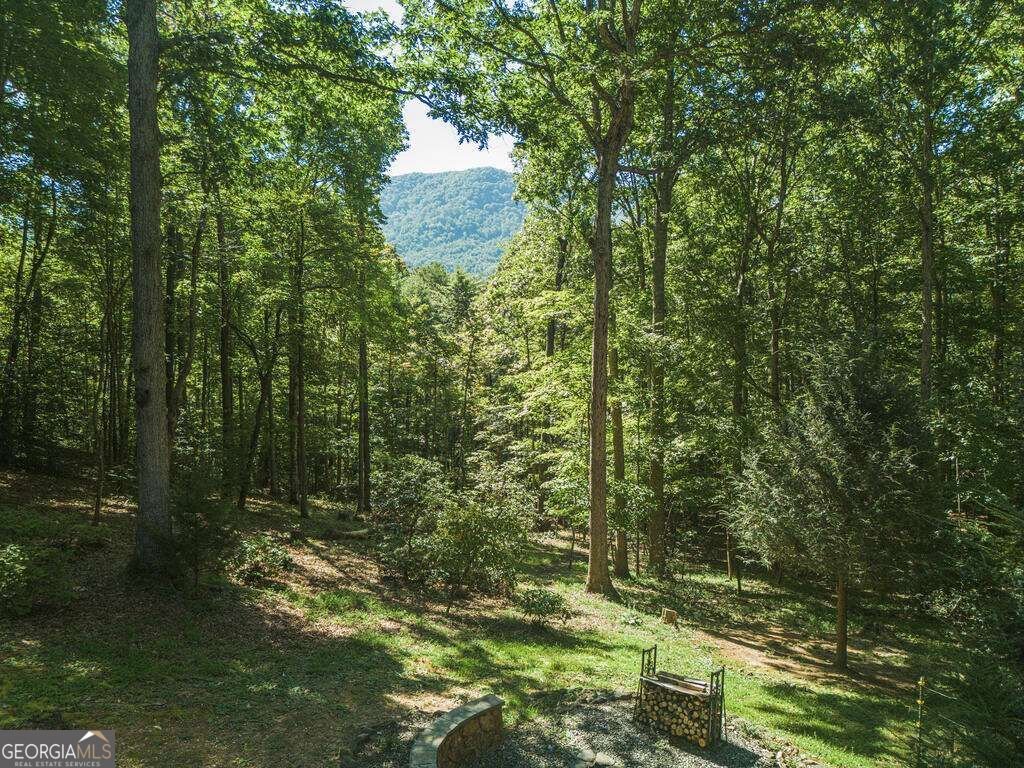 150 Trail Tree Drive Blairsville - Photo 6