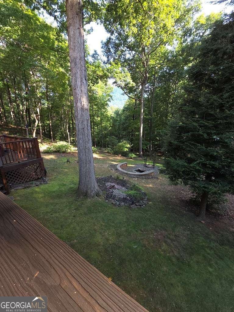 150 Trail Tree Drive Blairsville - Photo 60