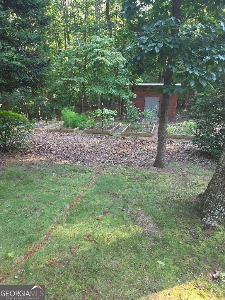 150 Trail Tree Drive Blairsville - Photo 61