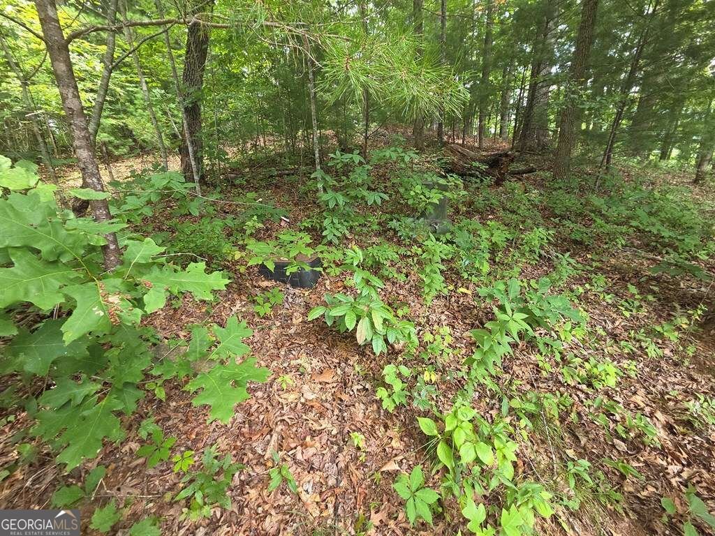 150 Trail Tree Drive Blairsville - Photo 64